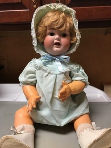 kammer and reinhardt