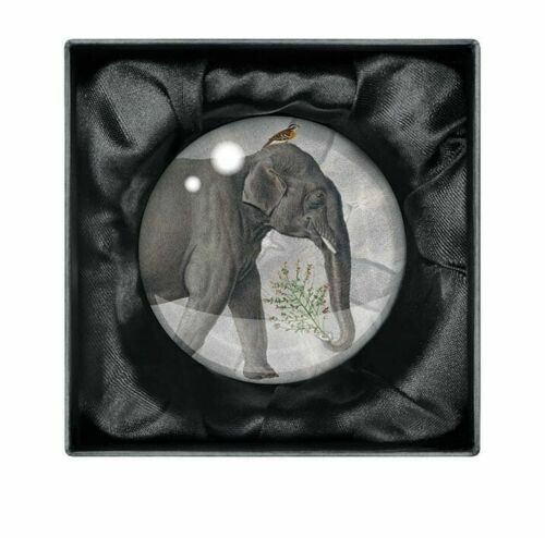 Natural History Museum - Elephants Crystal Dome Paperweight