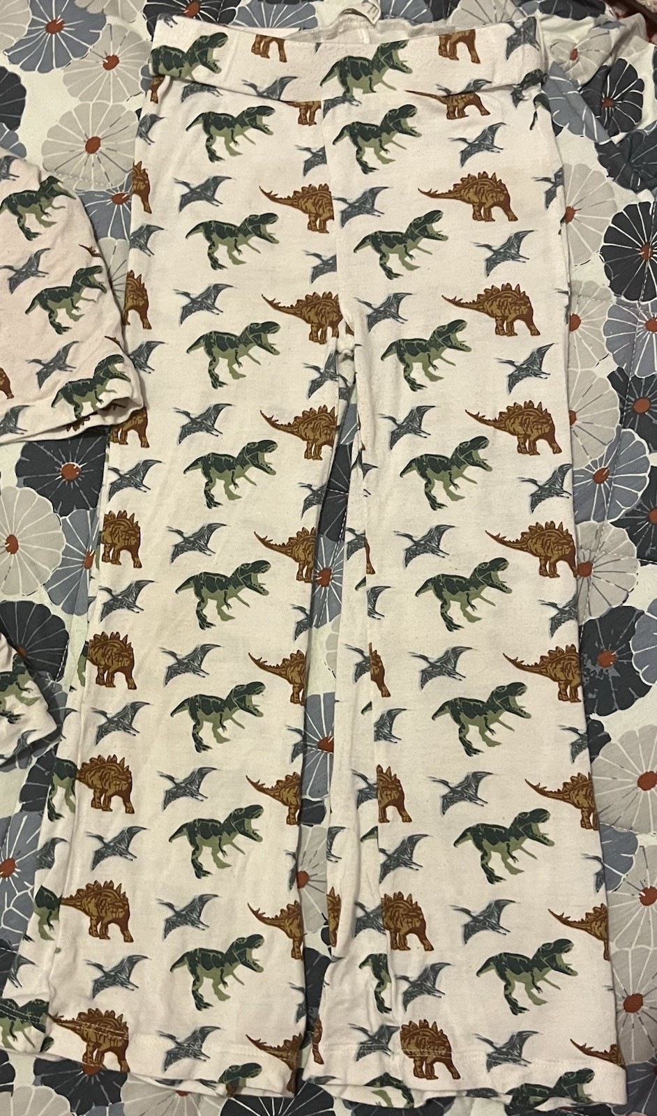 Kate Quinn Girls Size 4t Dinosaur Pants Jacket Set FREE SHIPPING