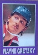 Rare lot of 23 mint 1991 NHL PROMO Hockey cards - Gretzky plus