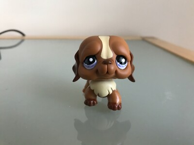saint bernard shop