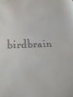 Buffalo Tom 1990 Birdbrain Promo 2-Sided Poster Janovitz Colbourn Maginnis — photo 3