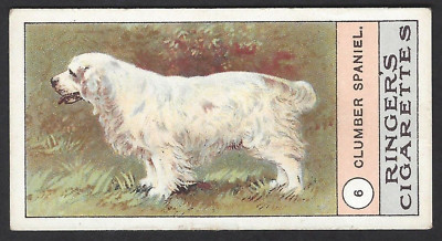 EDWARDS, RINGER & BIGG - DOGS SERIES (KLONDYKE) - #6 CLUMBER SPANIEL