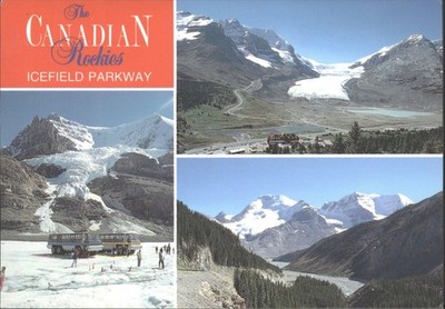 Canadian Rockies Icefield Parkway Vintage Postcard Columbia Glacier Bus