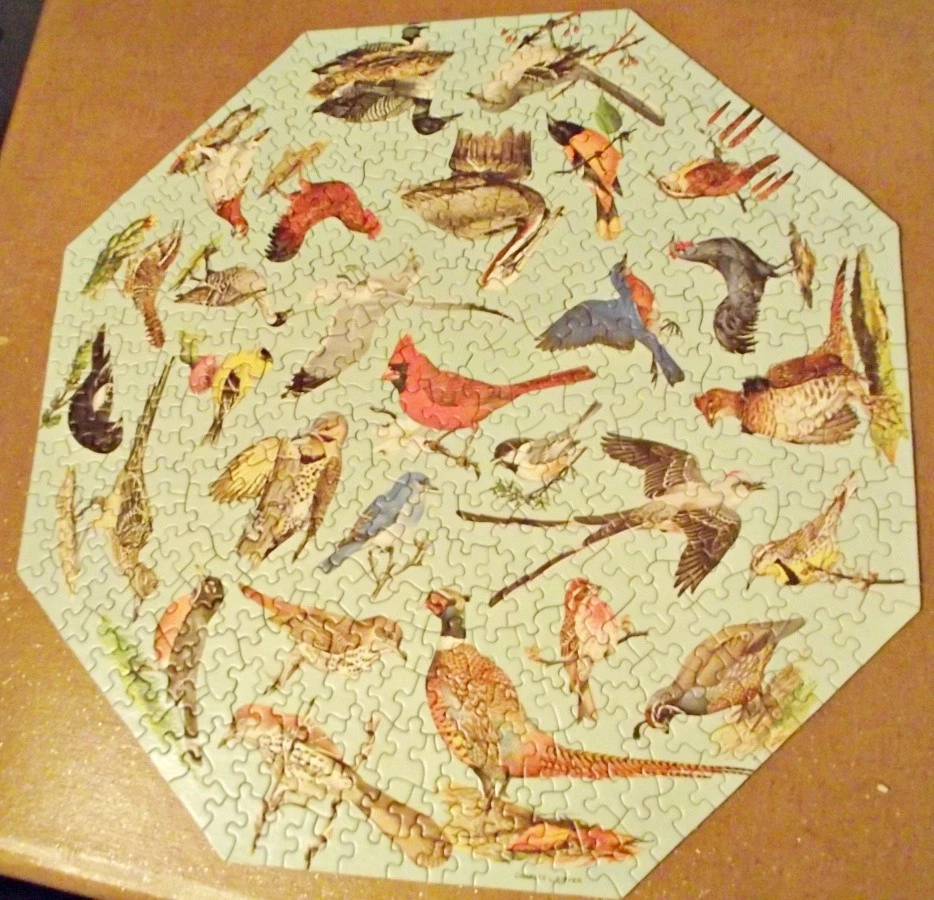 Rompecabezas octágono Springbok 1973 State Birds Ripper COMPLETO sin usar Foto 2 de 4