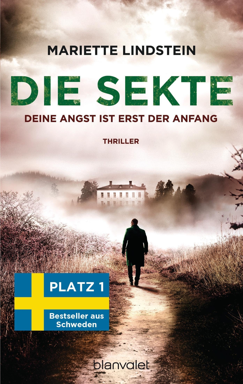 Thumbnail - Die Sekte - Deine Angst Ist Erst Der Anfang