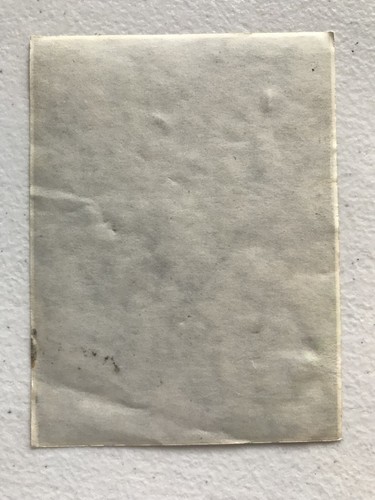 RARE Vintage 1980's RASTA Sticker / Decal - Picture 3 of 4