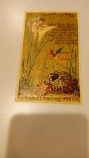 Brainerd Armstrong's Spool Silk and Patent Quill Cherub Victorian Trade Card 