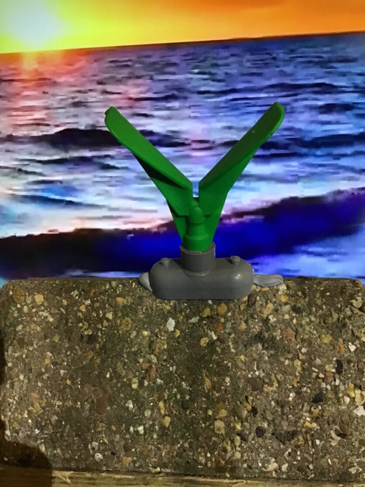 Picture 3 of 12