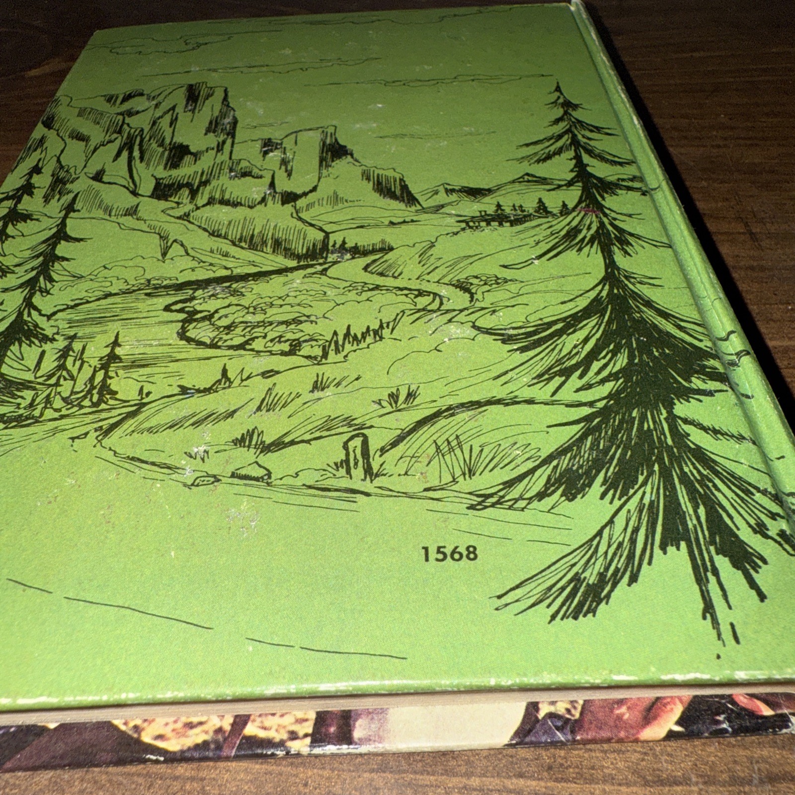 Picture 7 of 7