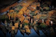 Nature Wall Art Oil style-Digital Download  Printable Photography-nigeria