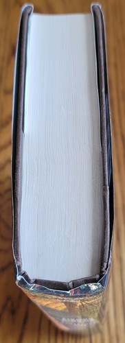 The Overstory by Richard Powers 1st Edition 2018 HCDJ Pulitzer Prize - Picture 2 of 3