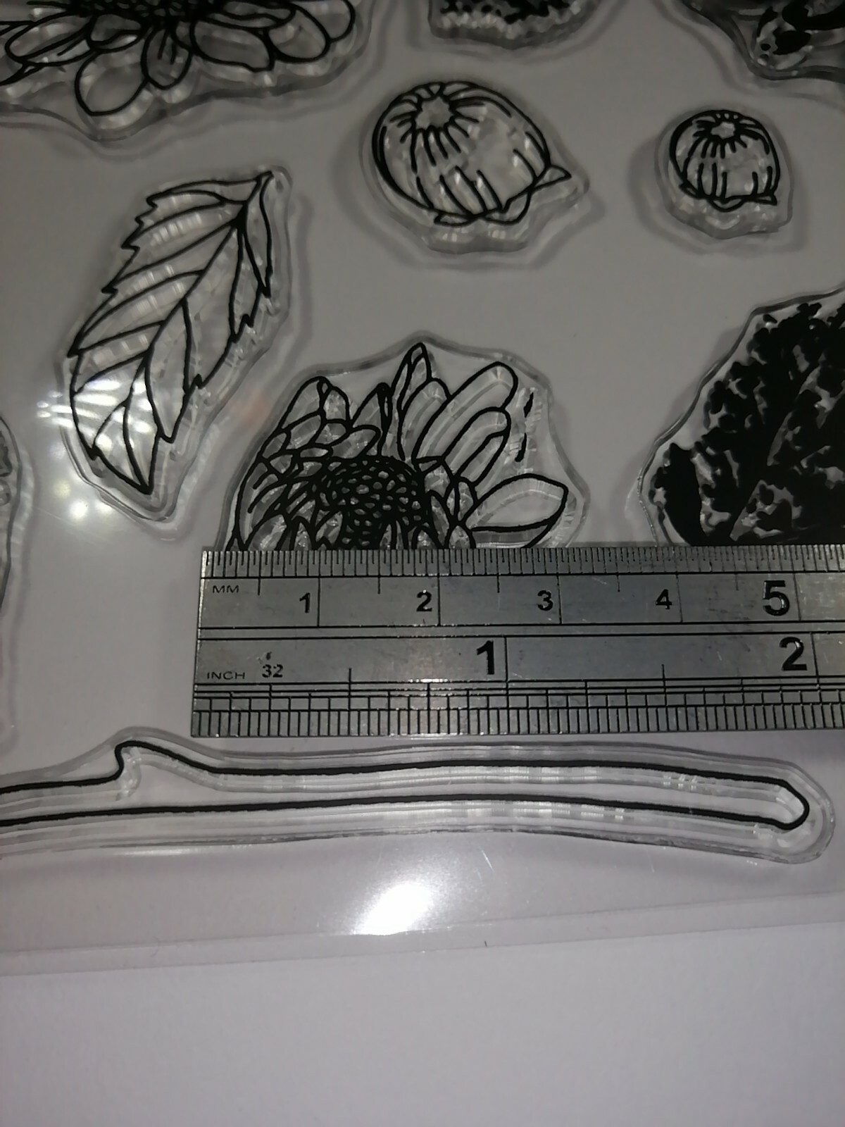 Picture 6 of 12