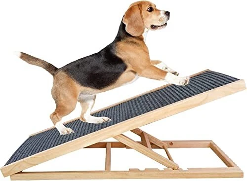 A dog cheap ramp
