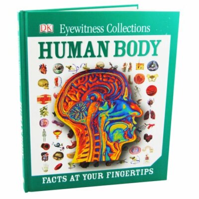 DK Human Body By TheWorks