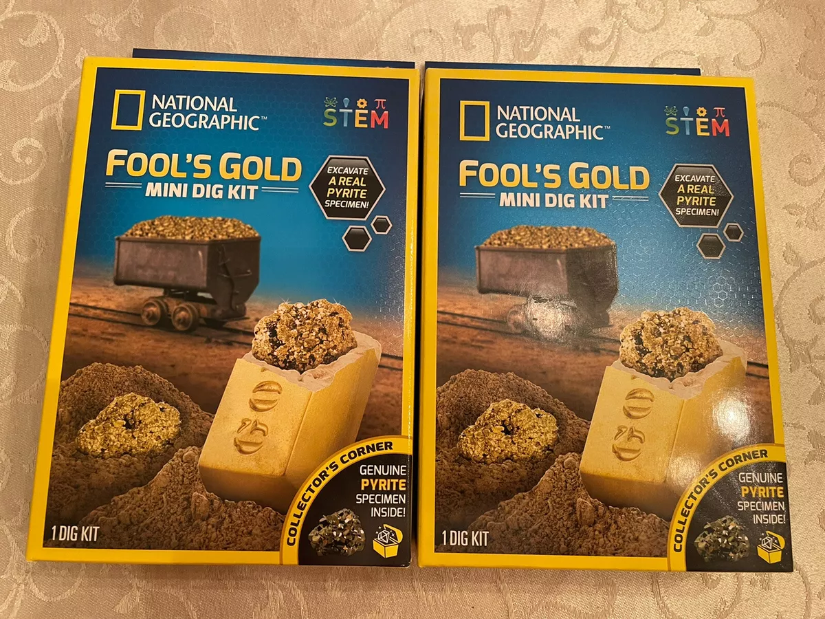 National Geographic STEM Fool's Gold Mini Dig Kit Excavate a Real Pyrite  Specime