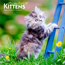 BrownTrout,  Kittens Love of 2026 Mini Wall Calendar, 7'' X 7'', 16-Month Calend