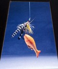 6 Stereo Realist 3D slides - Fly Fishing Lures Harry Richards RBT mounts - H73R — photo 7