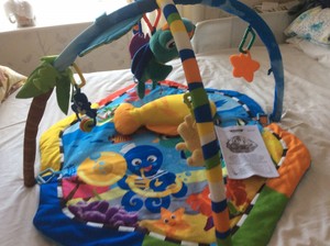 baby einstein rhythm reef play gym