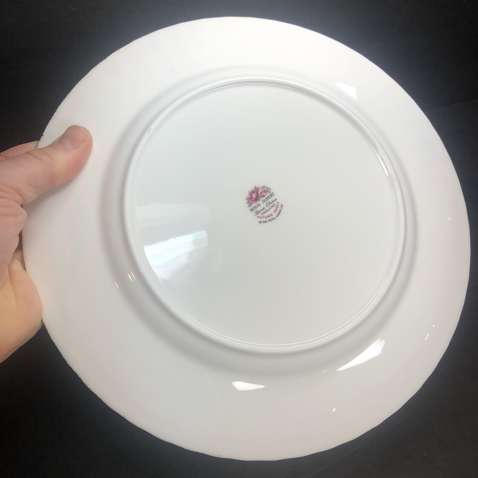 Lof of 2 ROYAL ALBERT AUTUMN ROSES 5 pc Place Settings, teacup saucer plates