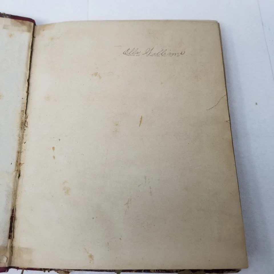 Álbum de recortes antiguo de la década de 1880 niñas hojas prensadas periódicos de Missouri Foto 3 de 4