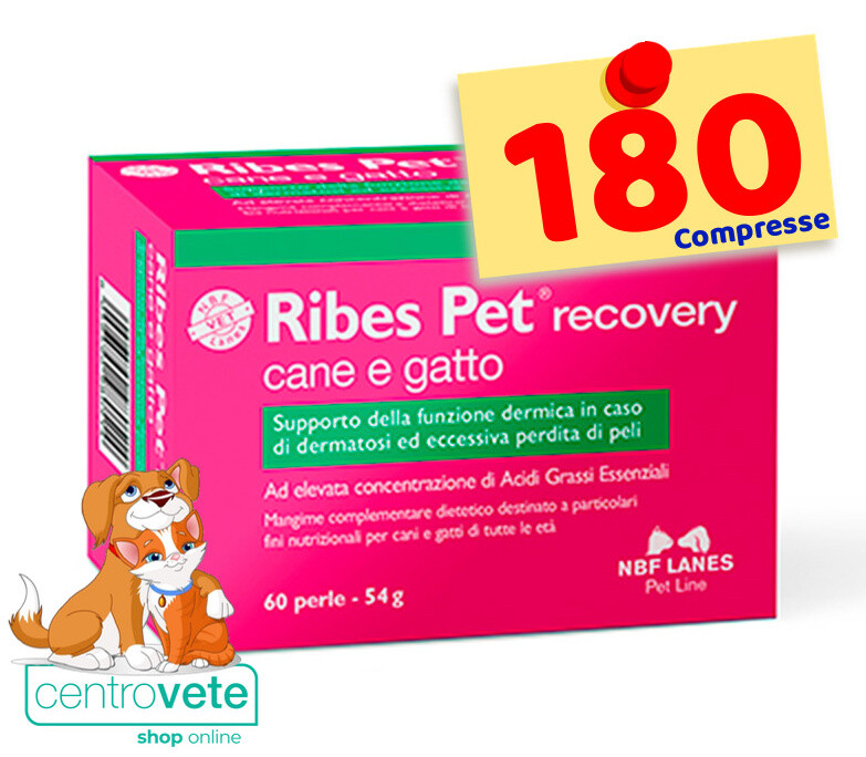 Nbf RIBES Pet RECOVERY 60 / 120 / 180 / 240 Perle ⇢ Dermatosi e Perdite di Pelo : 240 Perle/Beige/Taglia unica/Compresse, capsule img 2