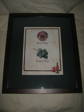 Jim Koch Signed On The Glass Sam Adams Brewery Good Hop Bad Hop Sea Dog Framed