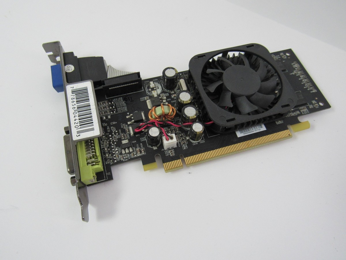 XFX NVIDIA GeForce 8400 GS (PVT86SWANG) 256MB DDR2 SDRAM PCI