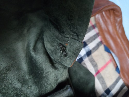 Vtg 80s BURBERRYS Green Suede Leather Wool Lined Nova Check Jacket Coat Size 44 - Picture 16 of 24