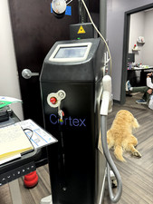 Sandstone Cortex Laser Co2 AND Erbium