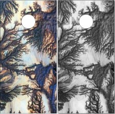 Lichtenburg wood burn Cornhole Wrap Bag Toss Skin Decal Sticker