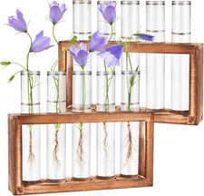 2Pcs Desktop Glass Plant Propagation Station 10 Tubes