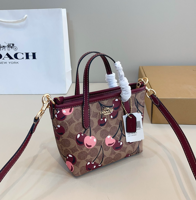 COACH × PEANUTS スヌーピー フィールドトート 2WAYショルダー Coach x Peanuts Snoopy Terry Shoulder Bag Brown Multi 2Way Leather