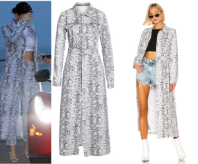 Alexander Wang Python Print Trench Coat 