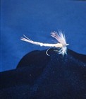 6 Stereo Realist 3D slides - Fly Fishing Lures Harry Richards RBT mounts - H73R — photo 8