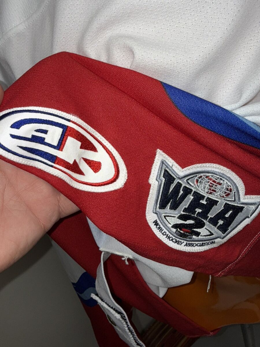 A9 Jacksonville Barracuda Defunct WHA2 Hockey Jersey A9 Jacksonville Barracuda Defunct WHA2 Hockey Jersey