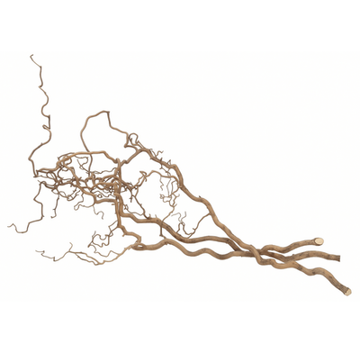 Korkenzieherzweige natur 3 Stück 100–120cm
