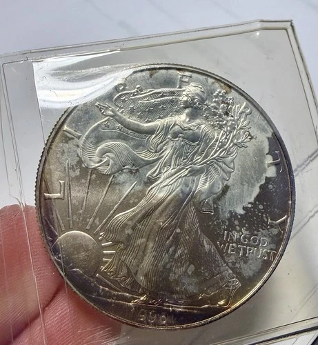 1996: Walking Liberty One Dollar 1oz Fine Silver .999