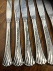 Oneida SPRING GLEN Stainless Distinction Deluxe Glossy Flatware 11 Knives C1 — photo 2