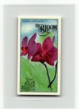 2019 Topps Allen & Ginter #IB-8 Moth Orchid In Bloom