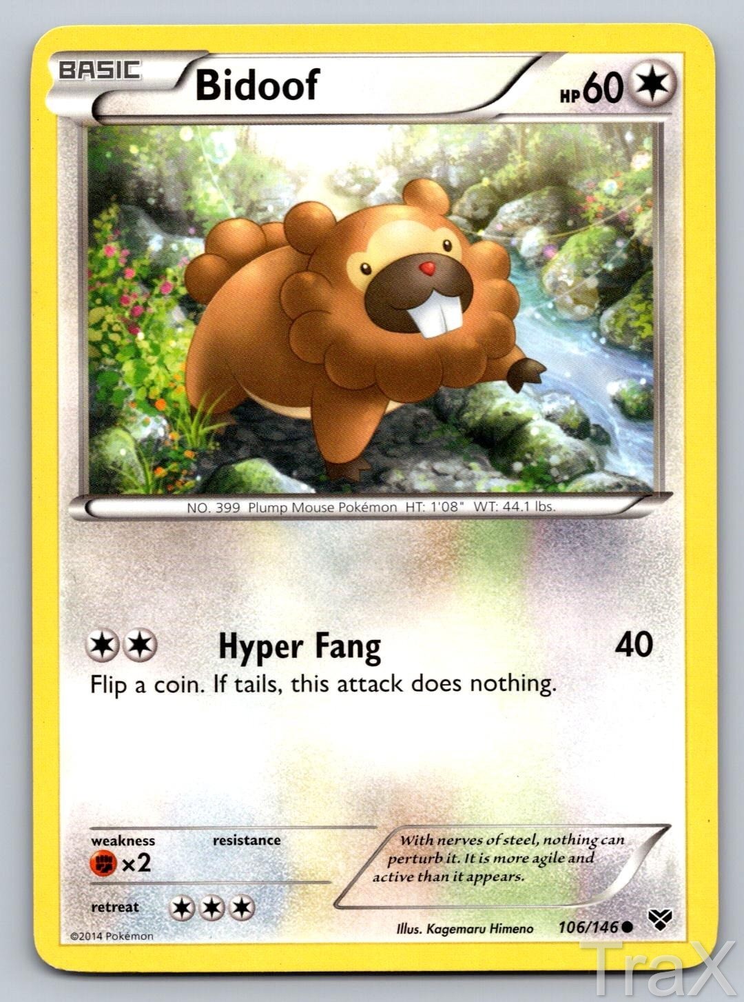 Bidoof 106/146 XY Base Set Pokemon MP Common