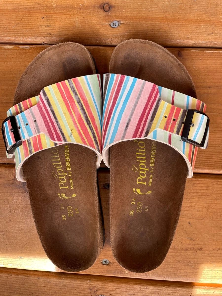 Papillio 36 clearance