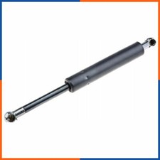 Verin de hayon / de capot Citroen LN