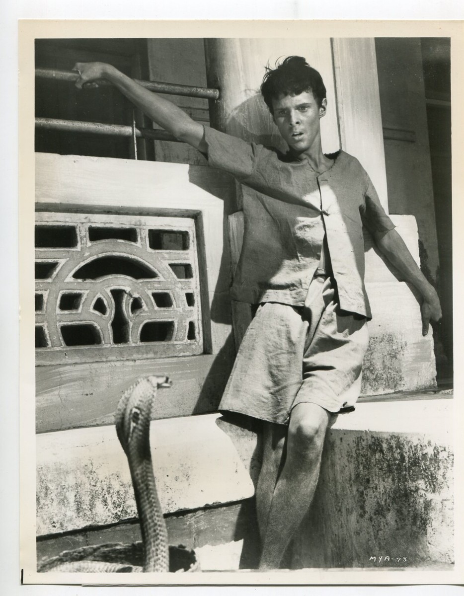 が*つ様 60s 〜 80s まとめ売り 10枚 vintage ビンテージ バ Maya-Jay North-8x10-B&W-Still-TV | eBay