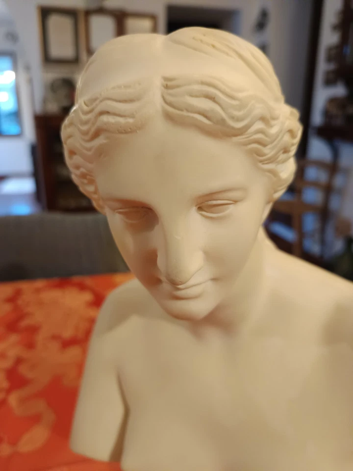 Elegante busto Venere Di Milo in polvere di marmo, stile classico - Immagine 2 di 4