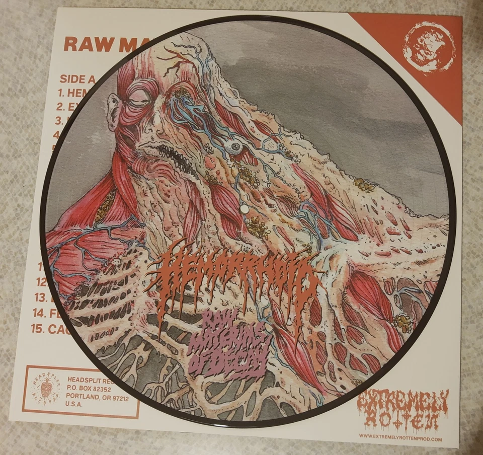 HEMORRHOID - Raw Materials Of Decay LP PICTURE septage carcass pharmacist death - Immagine 3 di 4