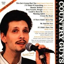 Country Guys [KARAOKE] von Various | CD | Zustand sehr gut