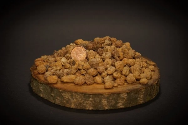 TTCARP Tigernüsse MIXED ca. 6-25mm 1kg