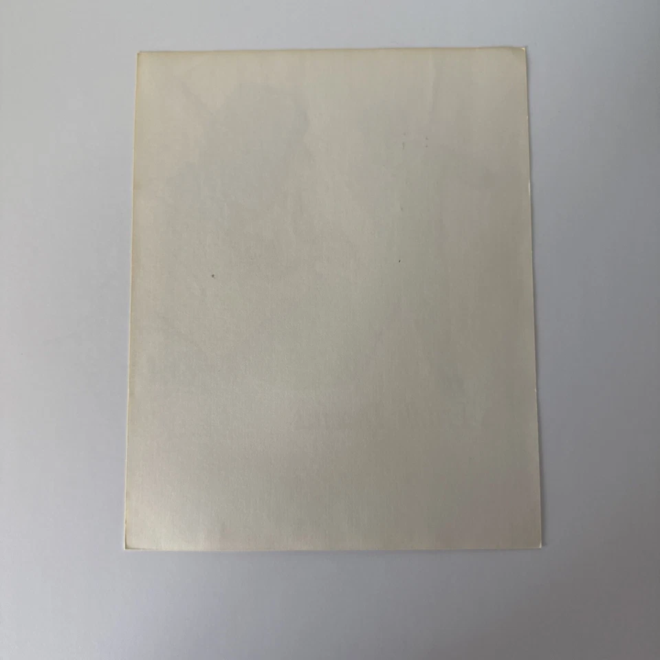 FRANK THOMAS Chicago White Sox Цветной Эскиз Печать Художник с Подписью Бернис Батофф - Изображение 4 из 4