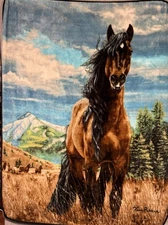 Northwest Company American Heritage Horse Blanket FREEDOM 50x60 southwestern